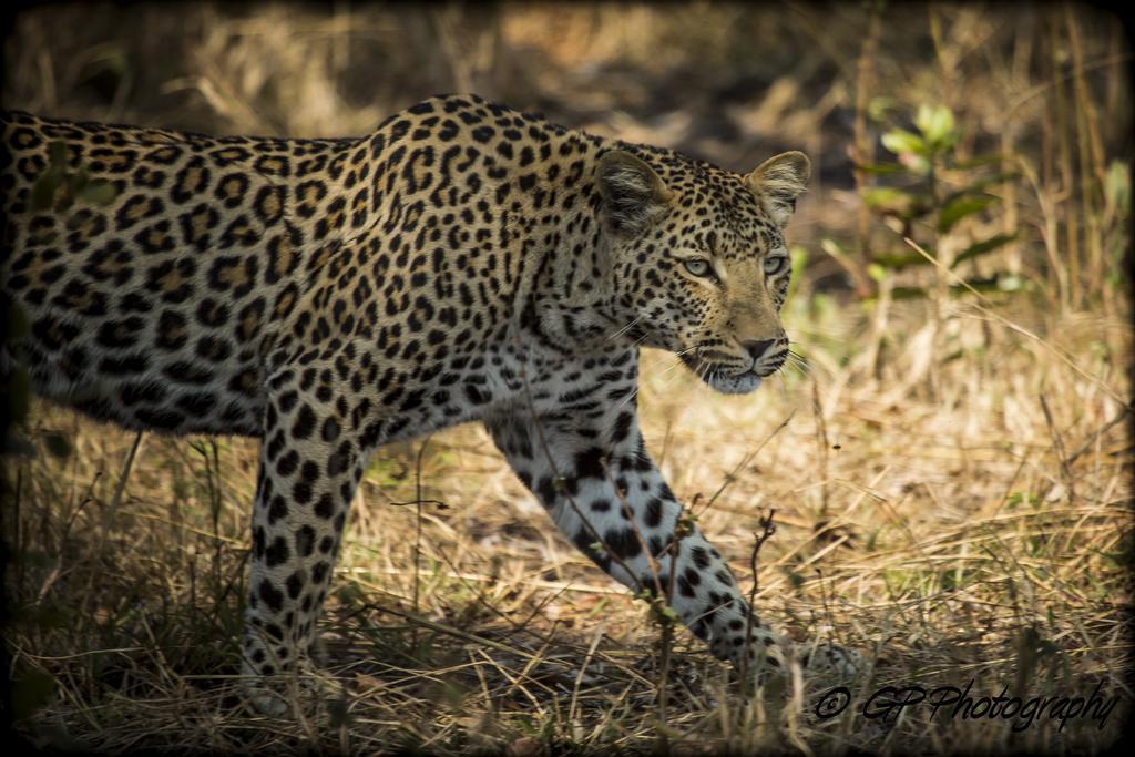 Laguna Lodge Graskop Pokoj fotografie